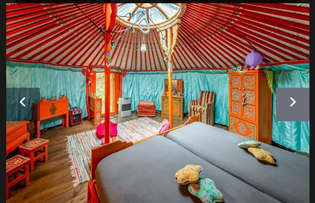 Yourte Mongole Et Cabane 胡法利兹 外观 照片